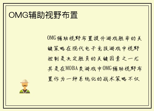 OMG辅助视野布置