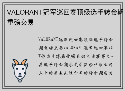 VALORANT冠军巡回赛顶级选手转会期重磅交易